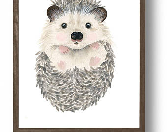 340x270 Watercolor Baby Hedgehog Woodland Nursery Flower Crown Etsy