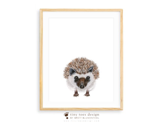 642x493 Woodland Animal Art Hedgehog Watercolor Large Print Animal Etsy