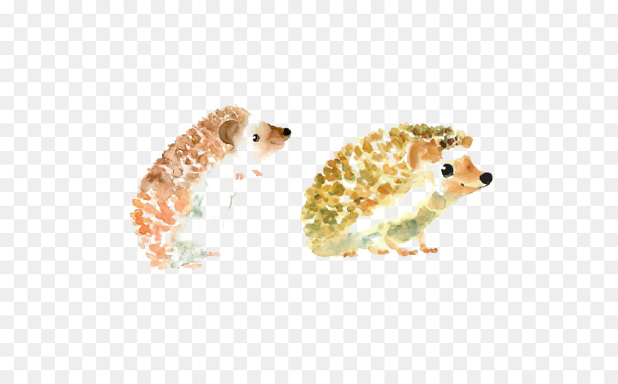 900x560 Baby Hedgehogs Drawing Watercolor Painting Illustration