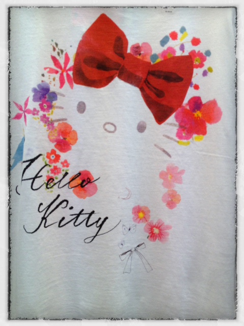 480x640 Hello Kitty Romantique And Rebel