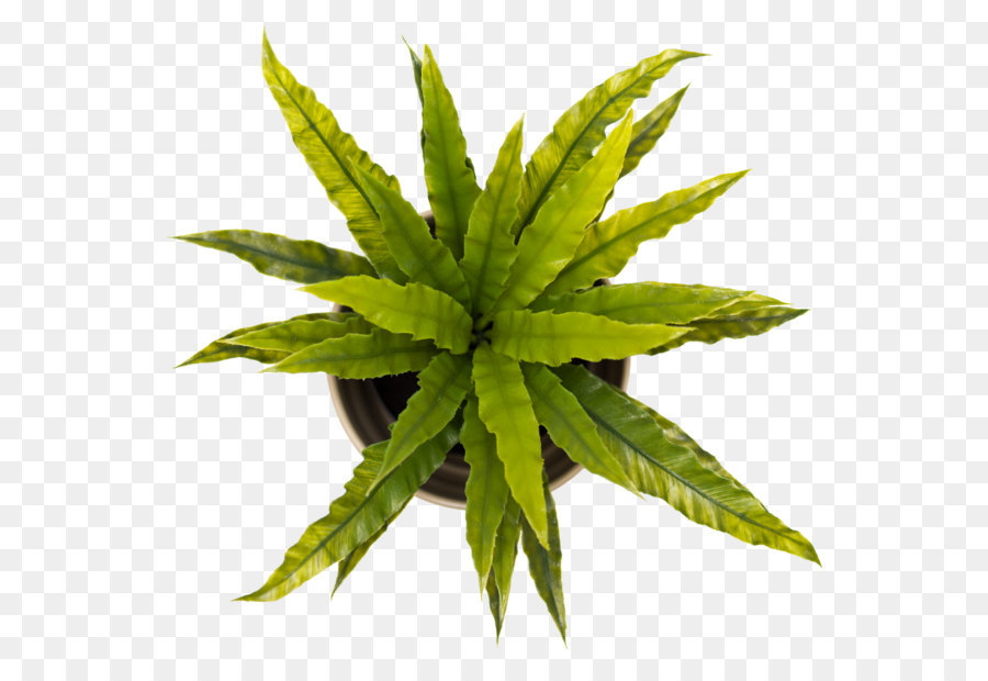 900x620 Paper Sticker Pixabay