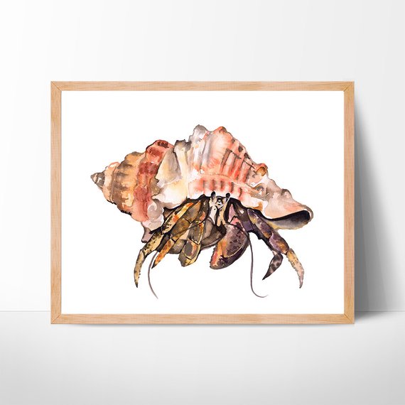 570x570 Hermit Crab Watercolor Art Crab Painting Illustration Beach Etsy