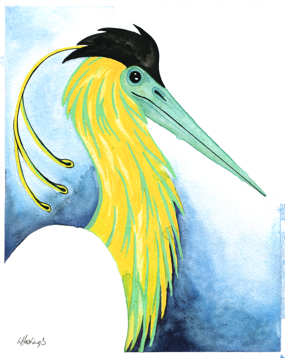 1000x1254 Crested Heron