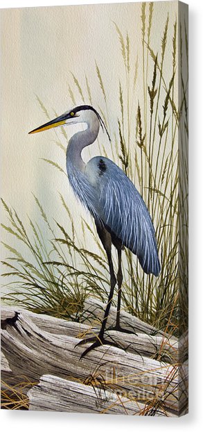 293x622 Great Blue Heron Watercolor Canvas Prints Fine Art America