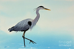 300x199 Great Blue Heron Watercolor Paintings Fine Art America