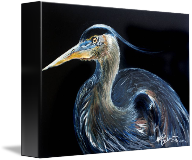 650x541 Blue Heron Watercolor 1612 By Marcia Baldwin