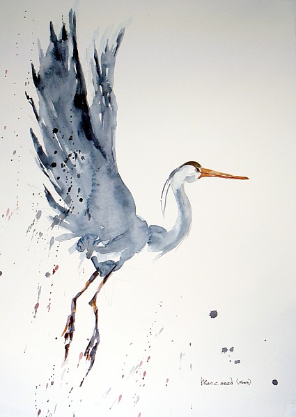 425x600 Heron