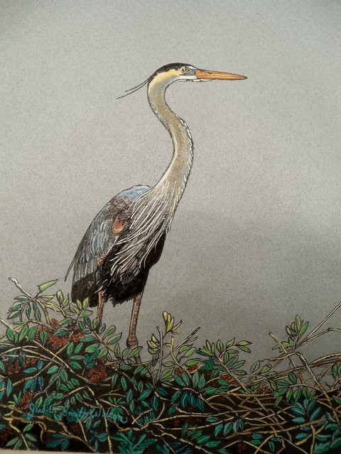 480x640 Judith Smith Wilson Artwork Magnificient Blue Heron Original