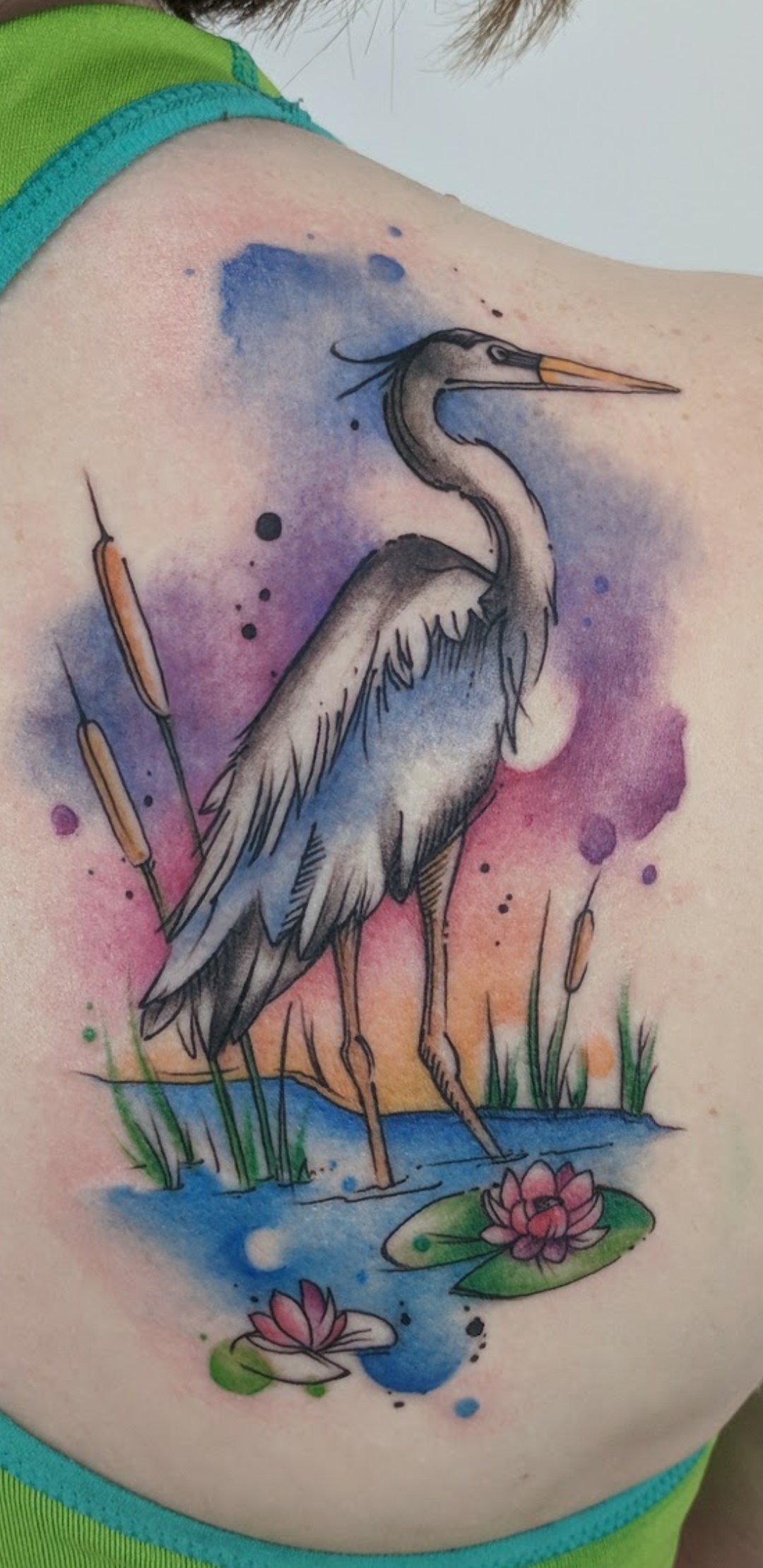 1080x2220 Blue Heron Watercolor By Shelly Deangio