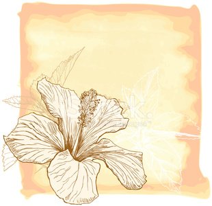 310x300 Hibiscus Flower Amp Watercolor Background Stock Vectors