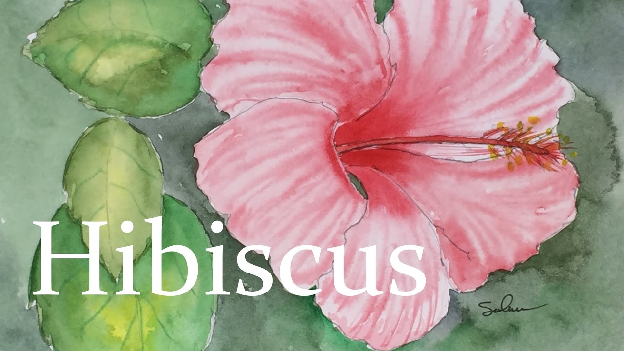 1280x720 How To Paint An Hibiscus In Watercolor Tutorial Flower Plant