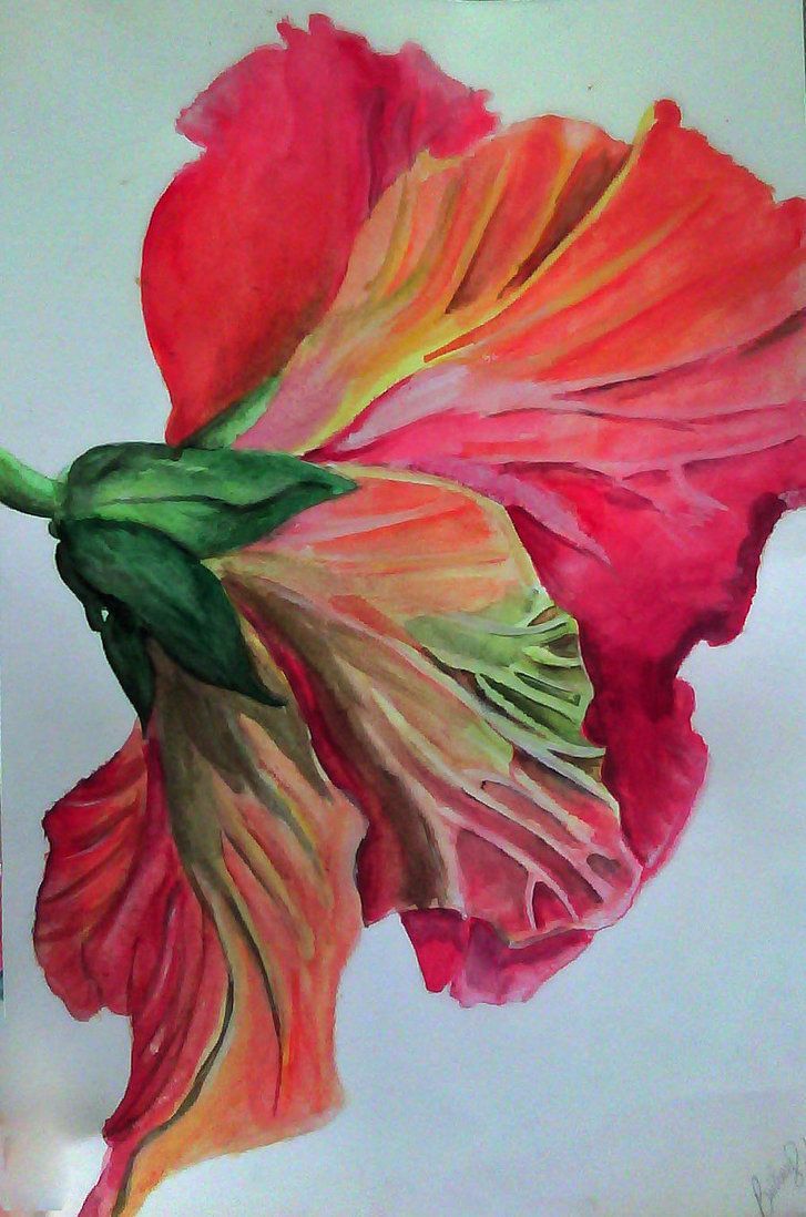 727x1098 Image Result For Hibiscus Flower Watercolor Tattoo Tattoo