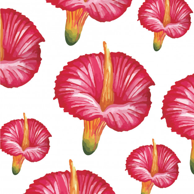 626x626 Red Hibiscus Flower Watercolor Vector Premium Download