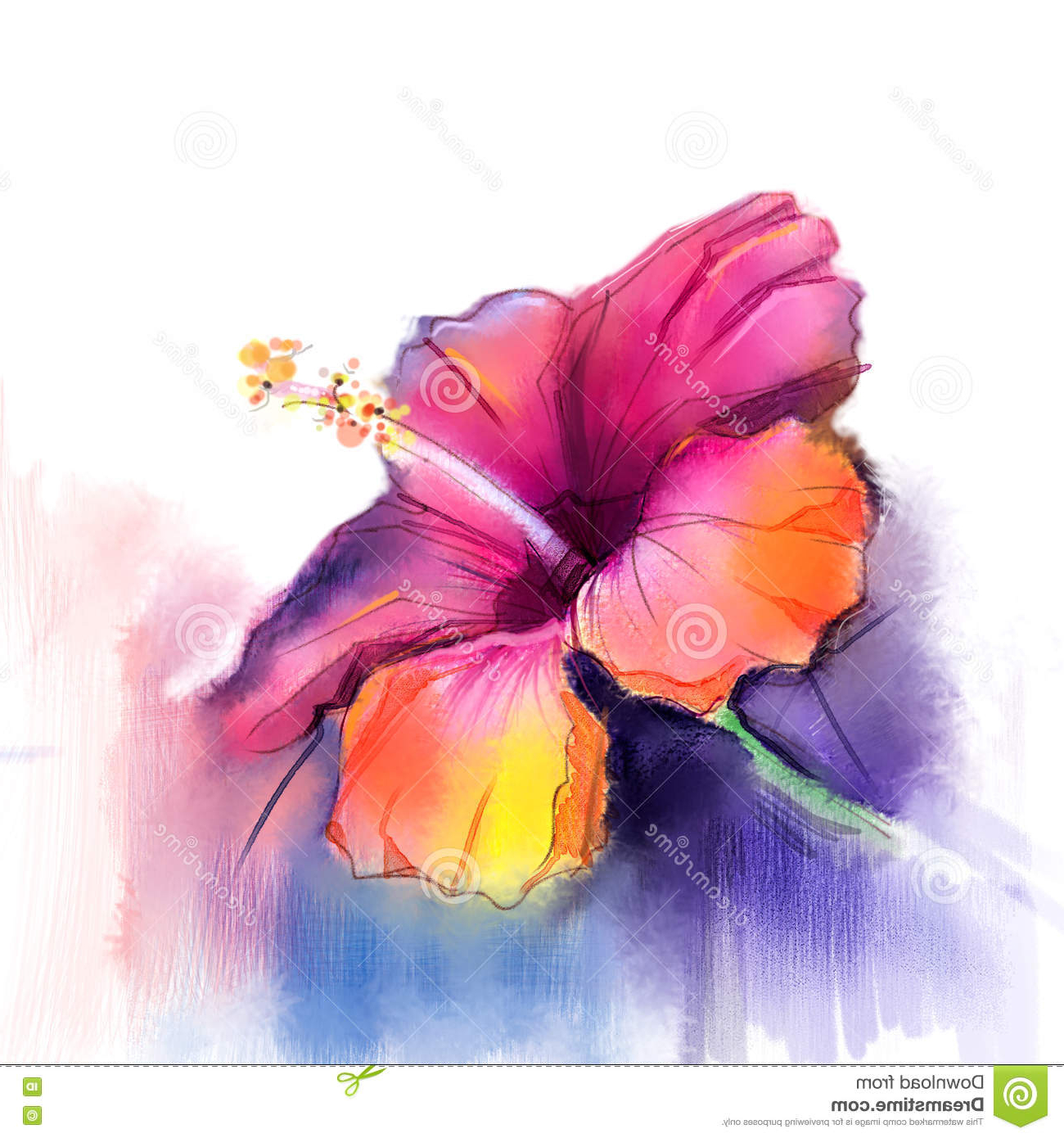 Hibiscus Flower Watercolor at GetDrawings | Free download