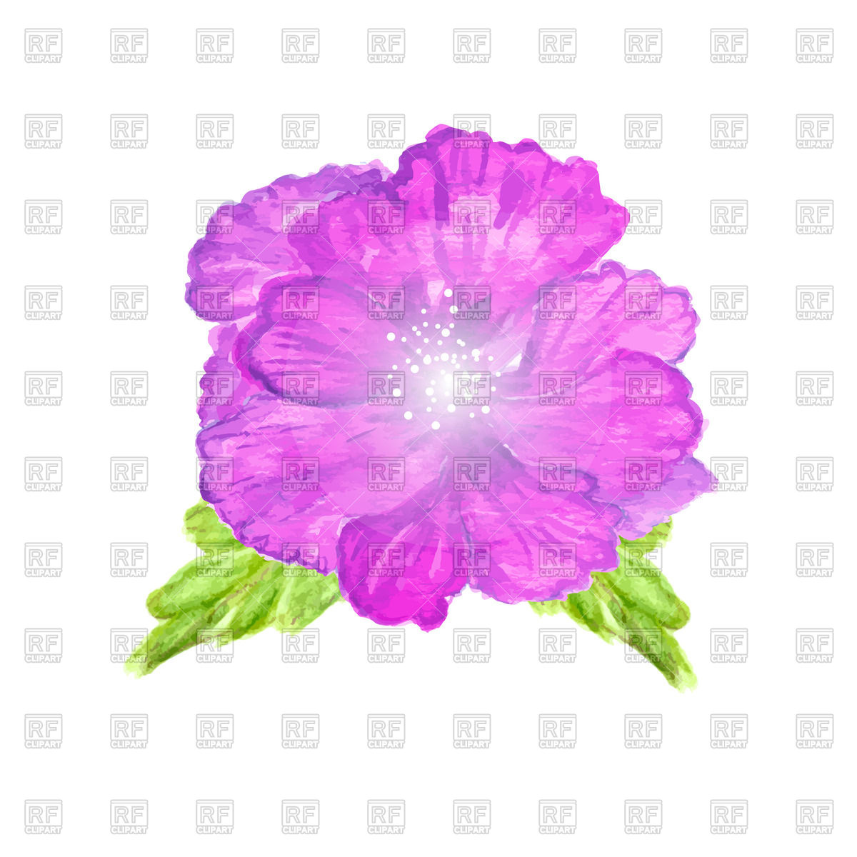 1200x1200 Watercolor Hibiscus Flower Vector Image Vector Artwork Of Plants