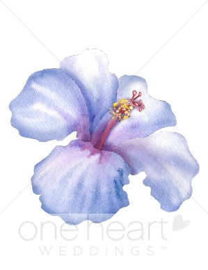 299x388 Hibiscus Clipart Flower Clipart