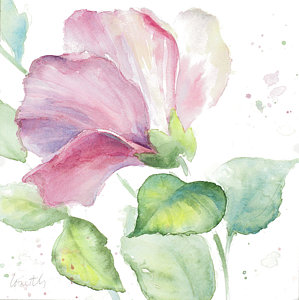 299x300 Hibiscus Watercolor Paintings Fine Art America