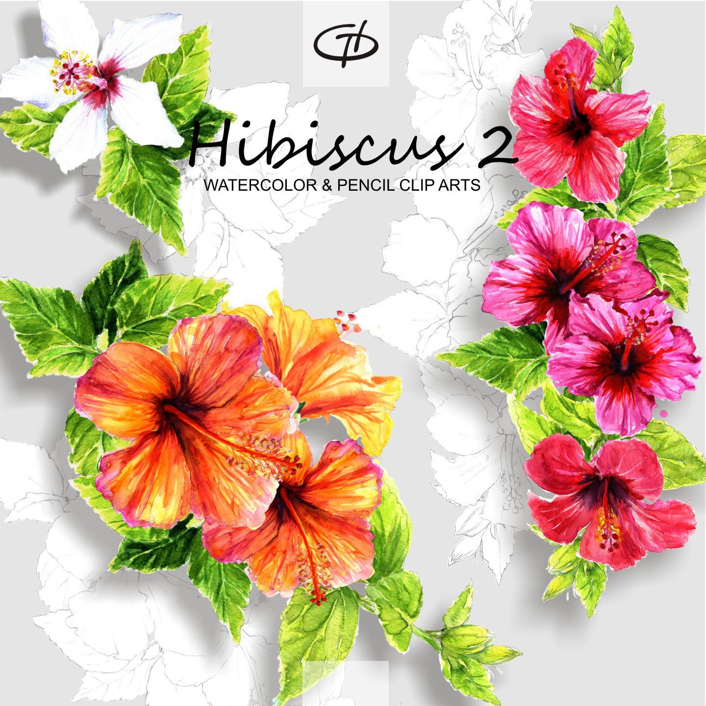1440x1440 Hibiscus Watercolor And Pencil Clipart Set2 Handmade Flower Etsy