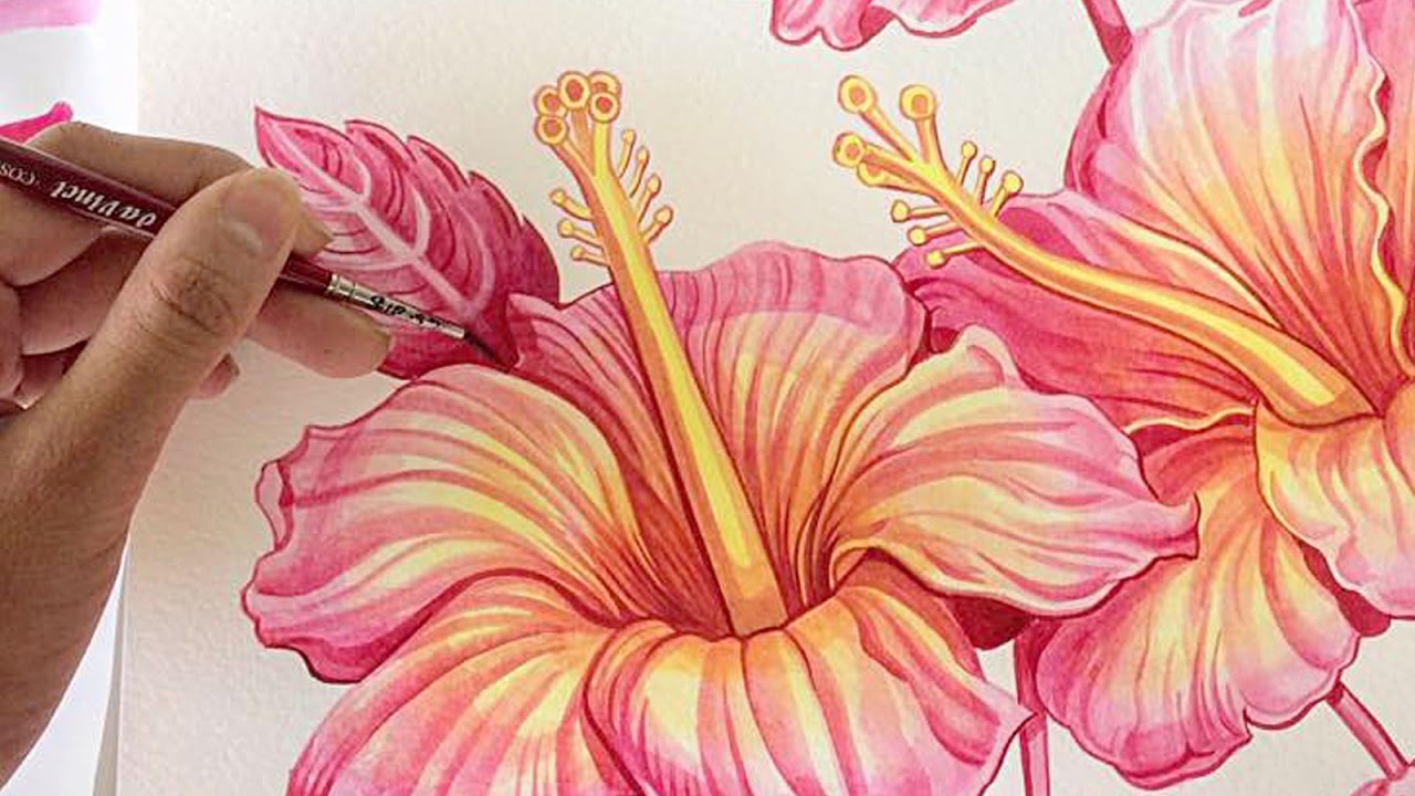 1280x720 Hibiscus Watercolour Painting