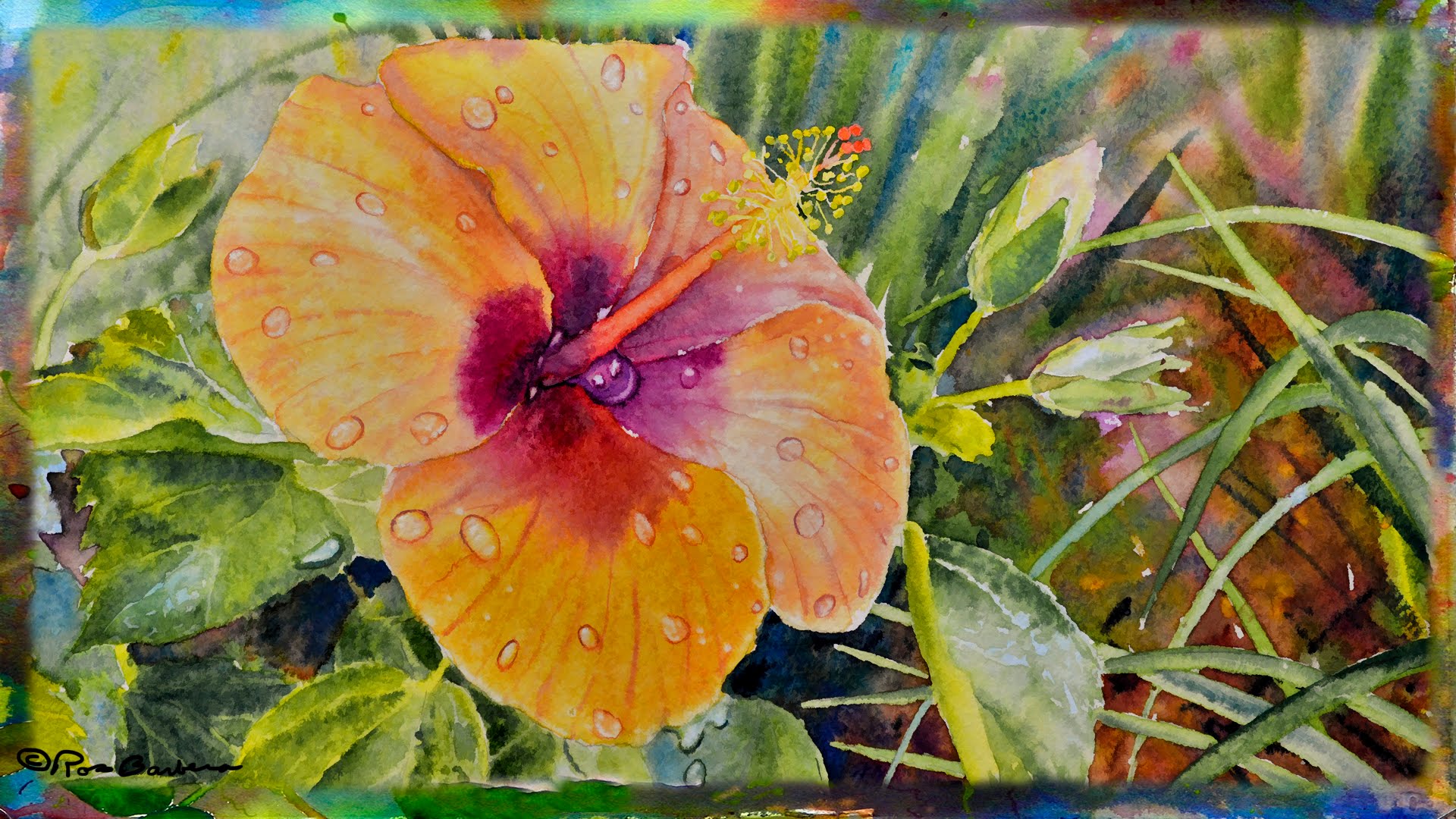 1920x1080 How To Paint The Orange Hibiscus Flower In Watercolor, Part 1