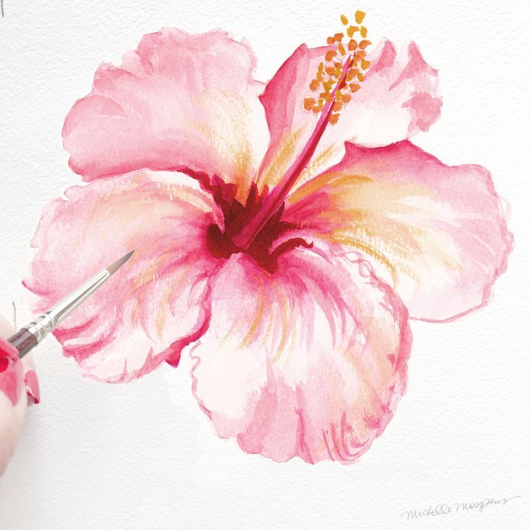 750x750 In Bloom Tropical Hibiscus (A Watercolor Paintings