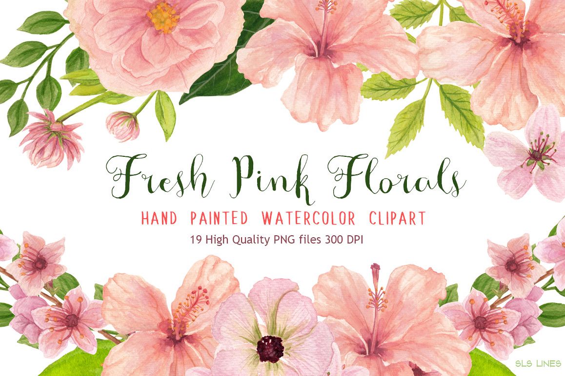 1158x772 Pink Floral Watercolors Hibiscus