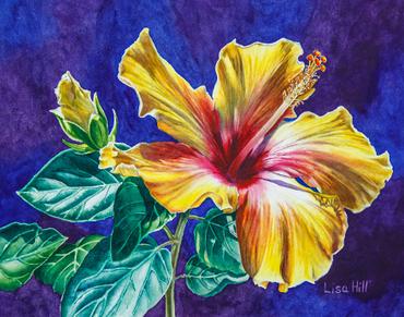 370x291 Yellow Hibiscus In Watercolor