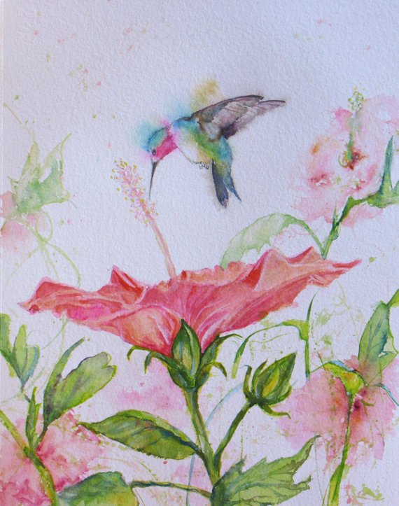 570x723 Original Hummingbird Hibiscus Watercolor Painting Wall Decor Etsy