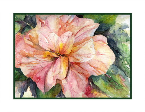 498x384 Hibiscus Watercolor Note Cards