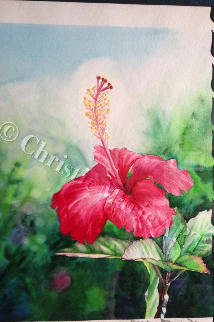 683x1024 Hawaiian Hibiscus Art Framed Original Fine Art Tropical Hawaii Red