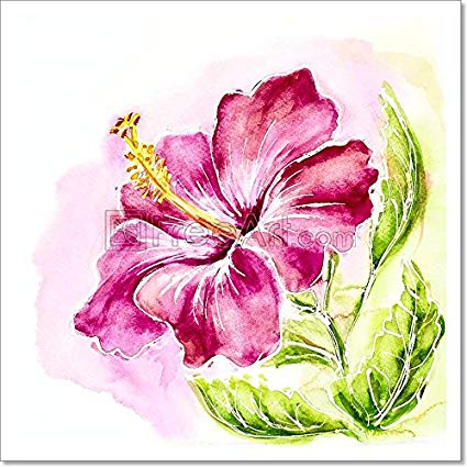 425x425 Pink Hibiscus, Watercolor Painting. Paper Print Wall