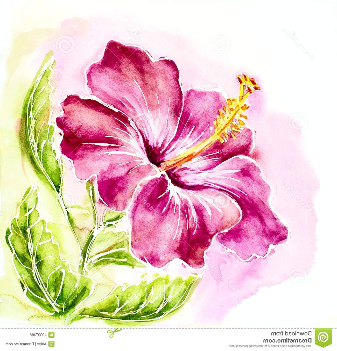 The best free Hibiscus watercolor images. Download from 187 free ...