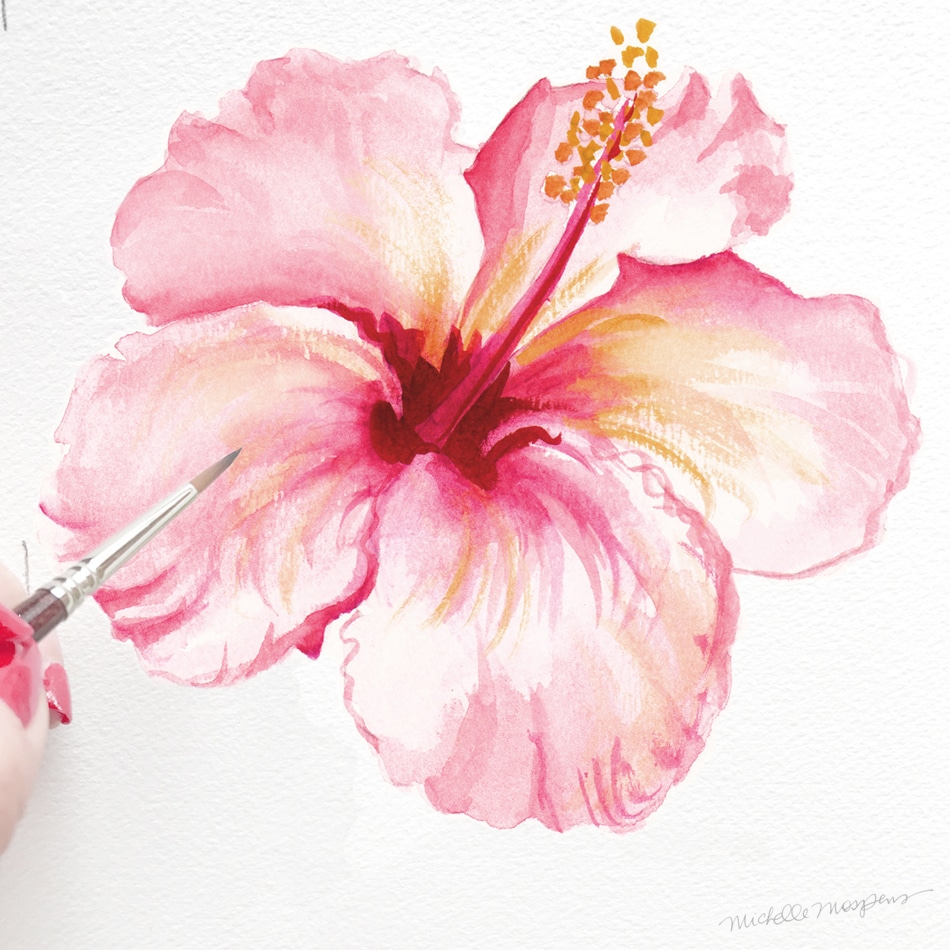 950x950 Key West Hibiscus Folder Custom Watercolor Invitations Amp Unique