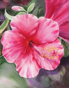 236x302 Rose Paintings And Flower Paintings In Watercolor And Oil