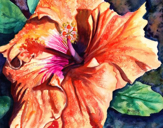 570x448 Tropical Hibiscus Watercolor Tropical Flowers Hibiscus Etsy