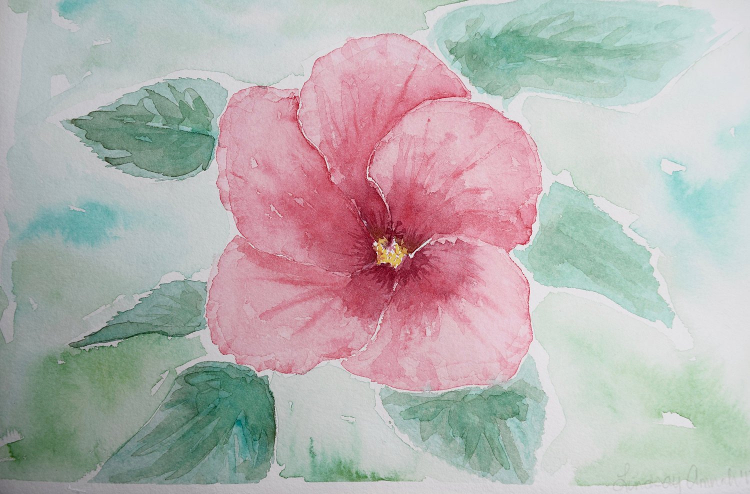 1500x988 Watercolor Flowers Painting Hibiscus Flower Floral Etsy