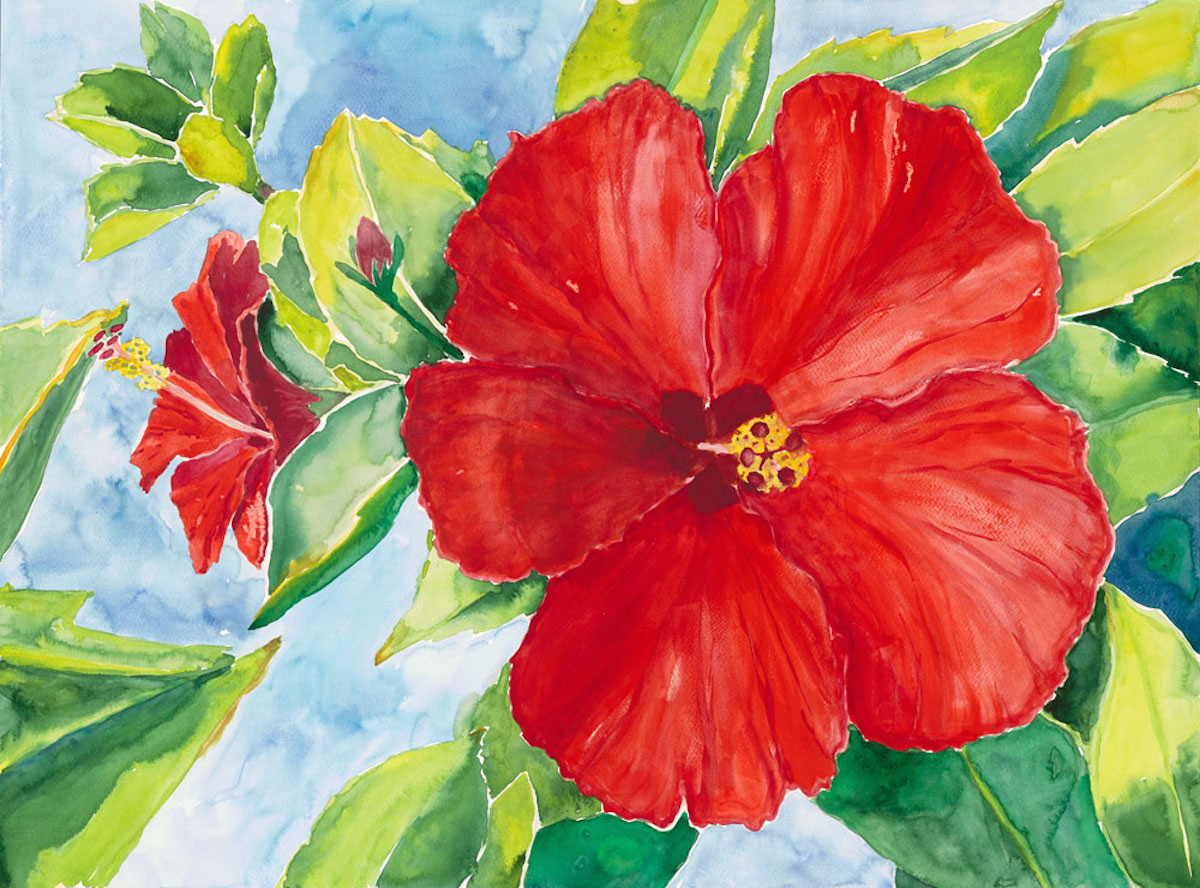 1200x888 China Red Hibiscus Watercolor Painting Mary Spears