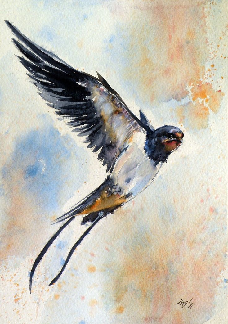 735x1044 Artfinder Swallow By Anna Brigitta