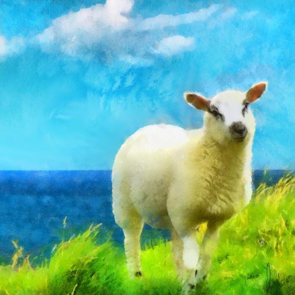 600x600 Art Print High Quality Watercolor Painting Watercolor Lamb