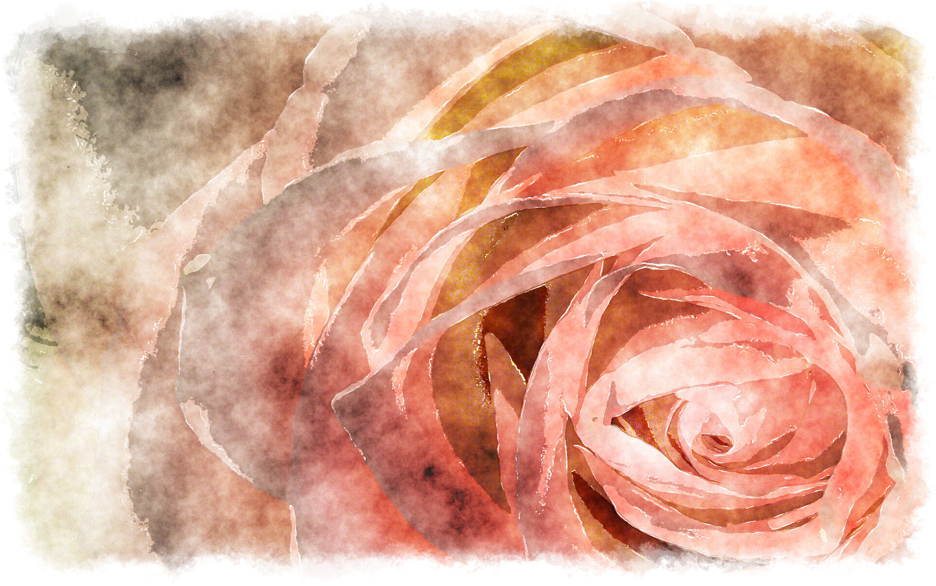 1920x1204 Watercolor Rose Macro