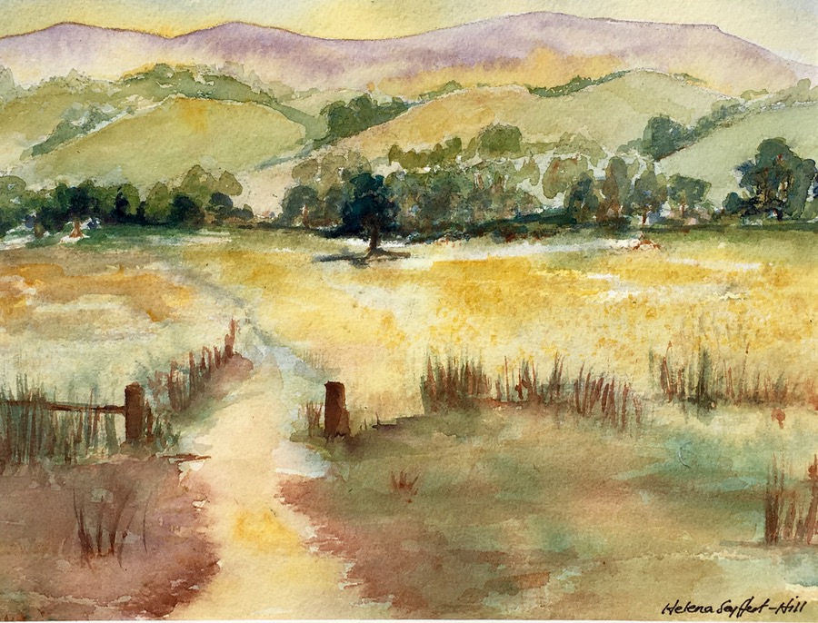 900x686 Coast Amp Landscapes Helena Seyffert Hill Art