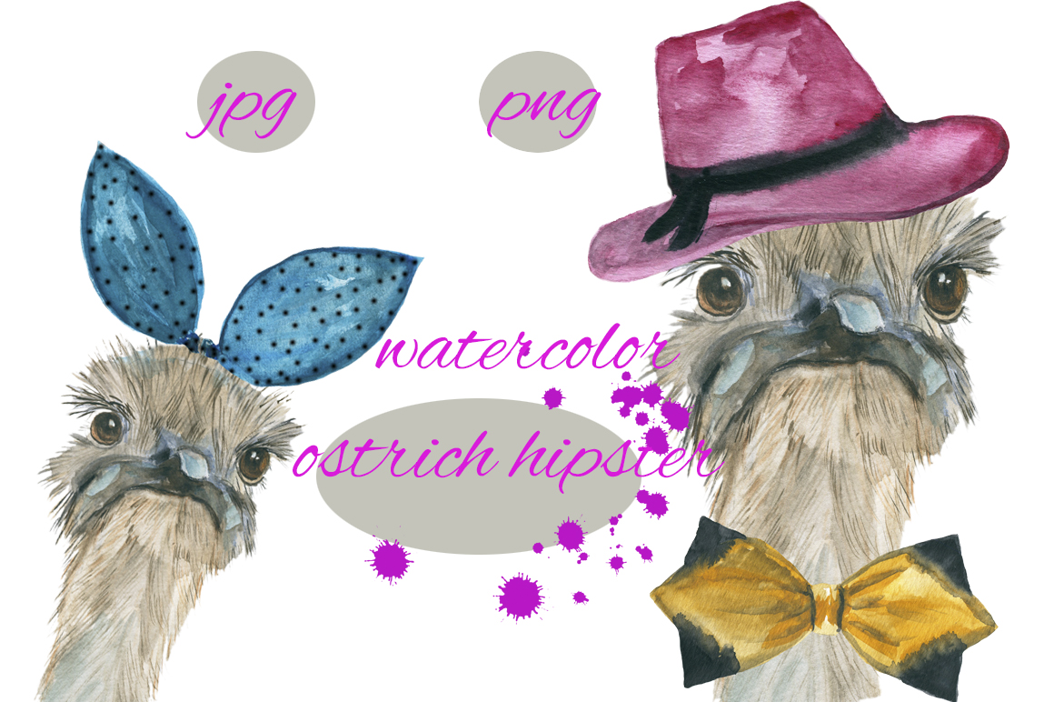 1160x772 Ostrich Hipster Watercolor By Juliafast77