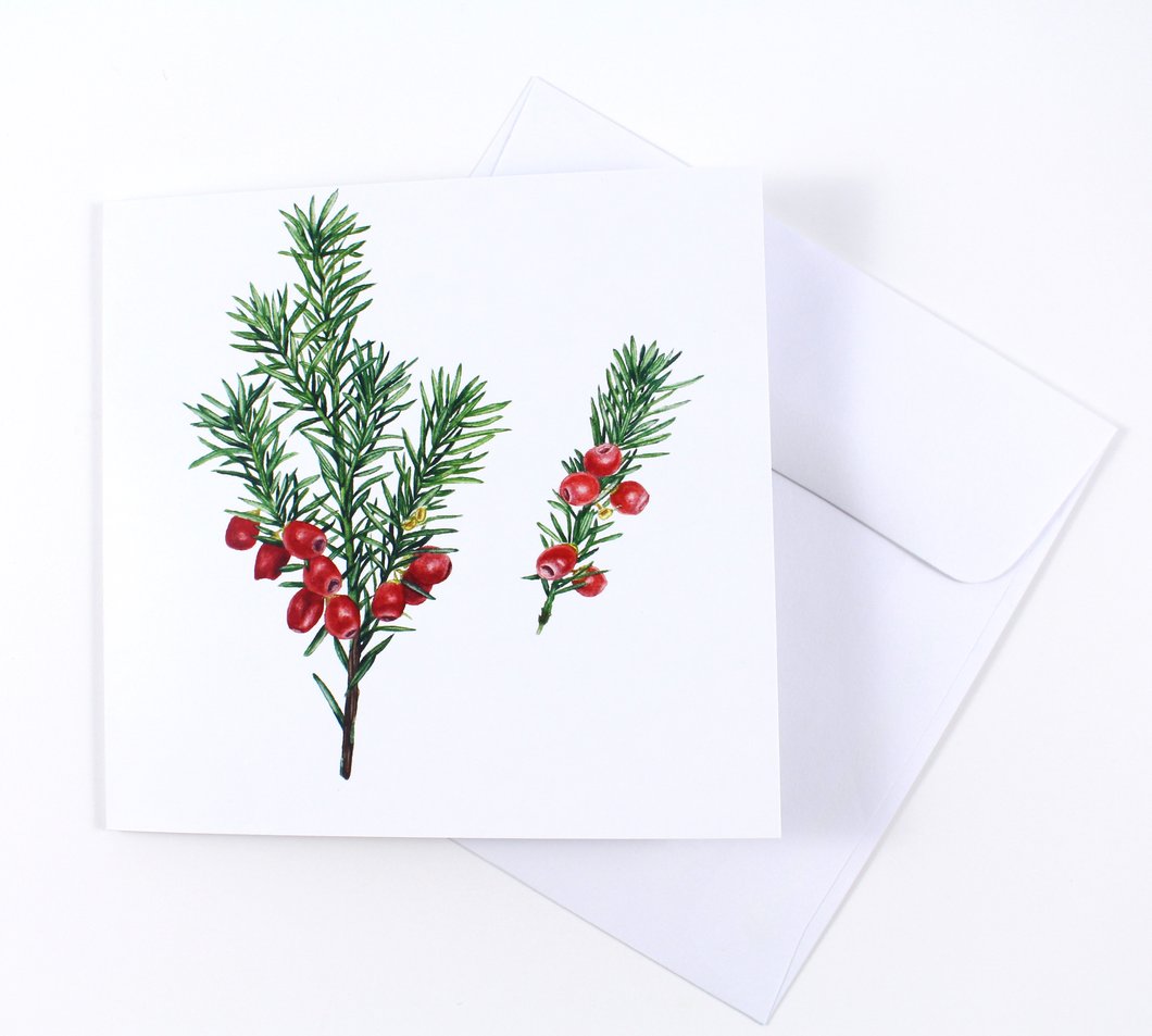 1060x953 English Yew Tree And Berries Watercolor Holiday Card Laura