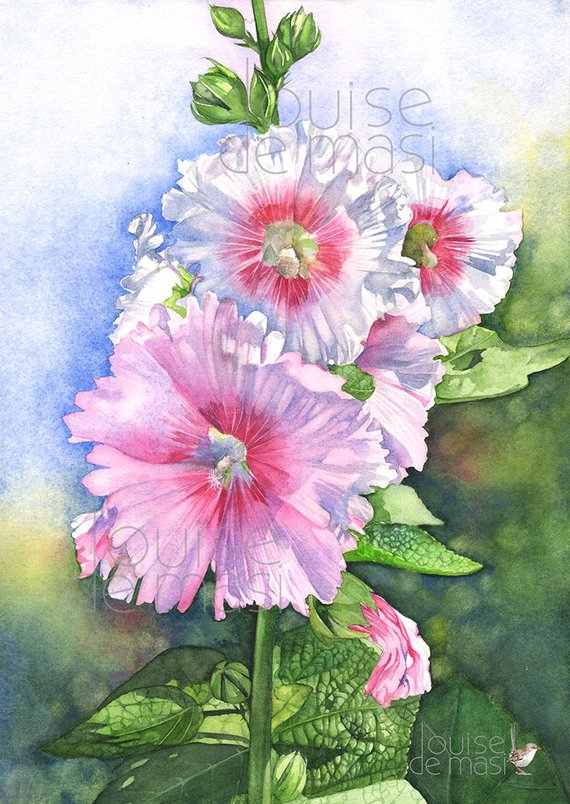 570x804 Hollyhocks Print Of Watercolor Painting 5 By 7 Size H24317 Etsy
