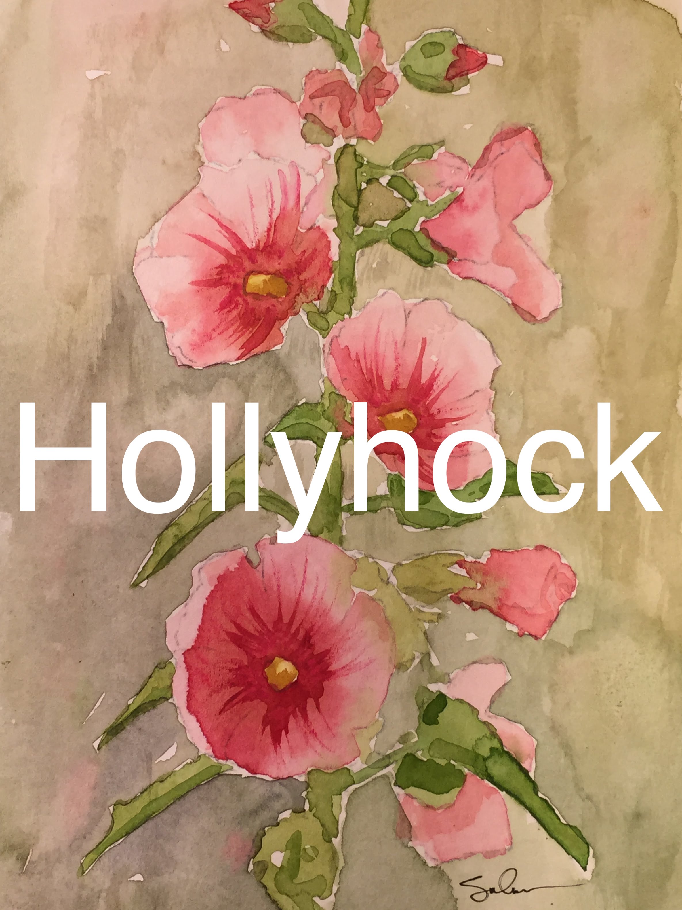 2370x3160 How To Paint Hollyhock In Watercolour Watercolor Plant Flower