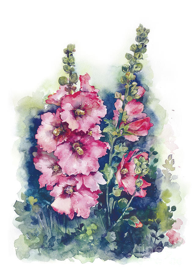 635x900 Watercolor Hollyhocks Pink Flowers Art Hand Draw. Painting By Mary