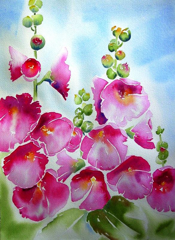585x800 Hollyhocks