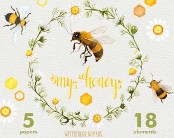 340x270 Bee Watercolor Etsy