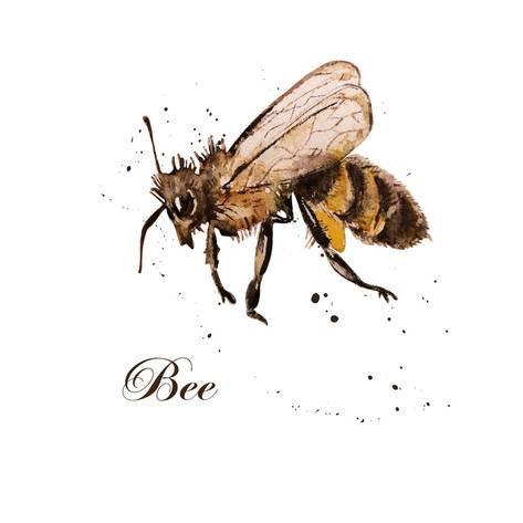 473x473 Honey Bee, Watercolor, Isolation On A White Background. Hand