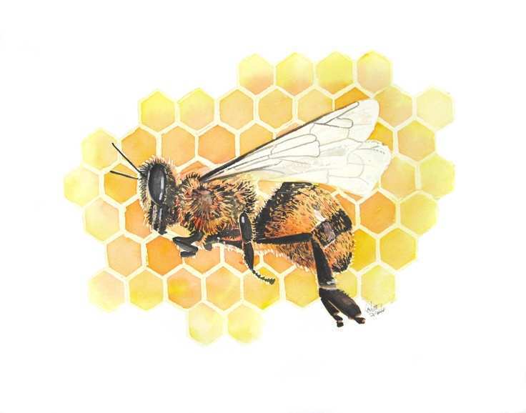 736x578 50 Bee Painting Painting Ideas